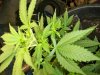 100_2741.jpg