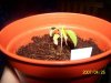 grow 027.jpg