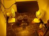 room..jpg