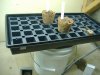 DSCF4812.jpg