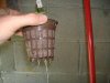 DSCF4815.jpg