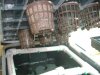 DSCF4818.jpg