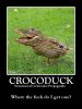 crocoduck.jpg