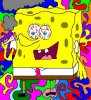 sponge2.JPG