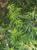 100_3378.jpg