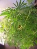 102_1818.jpg