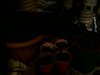 100_1842.jpg
