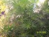 102_1853.jpg