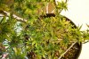 _MG_6501.jpg