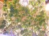 100_0906.jpg