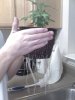 day25-4.jpg