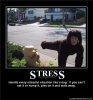 612200894620AM_Stress-demotivational-poster.jpg