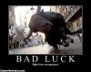 cogida-bad-luck-demotivational-posters.jpg