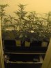 b420 002.jpg