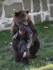 dumb azz! dats wat happens when you step into the ring with a bear!.jpg