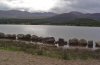 loch morlich1.jpg
