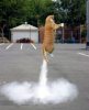 rocket-kitty.jpg