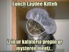 funny-pictures-cat-prepares-your-lunch.jpg