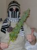 DSC01711.jpg