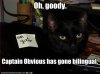 funny-pictures-cat-hates-post-it-note.jpg