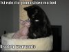 funny-pictures-cat-is-in-bed-without-pants.jpg
