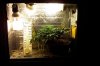 100_2318.jpg