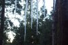 100_1480.jpg