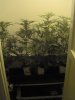 b420 001.jpg