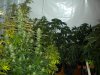 DSCN0832.jpg