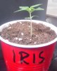 Jan_8_20103.jpg