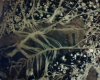 Opium 2 - Closeup Root Colinization.jpg