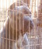DSC02711_2.jpg