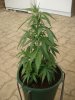 DSC01758.JPG