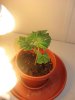 DSC02810.jpg