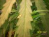 100_2305.jpg