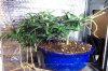 100_2324.jpg