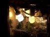 100_2660.jpg