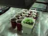 DSC00121.JPG