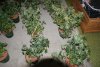 camdump10 367.jpg