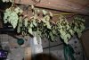 camdump10 390.jpg