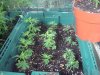 DSC01810.jpg