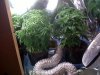 IMG00029-20100216-1616.jpg