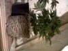 IMG00020-20100216-1546.jpg