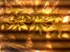 IMG00012-20100126-1718.jpg