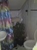 DSC00602.jpg