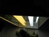 grow room 026.jpg