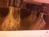 IMG00355-20100225-1904.jpg