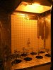 DSCN1427.jpg