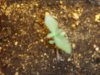 DSC05089.JPG