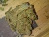 DSC00103.jpg